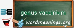 WordMeaning blackboard for genus vaccinium